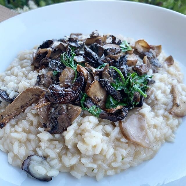 Introducing our NEW vegan mushroom risotto 🙌! Available now for free delivery & curbside pick up. Enjoy 101 North today between 3:30pm-7:30pm.